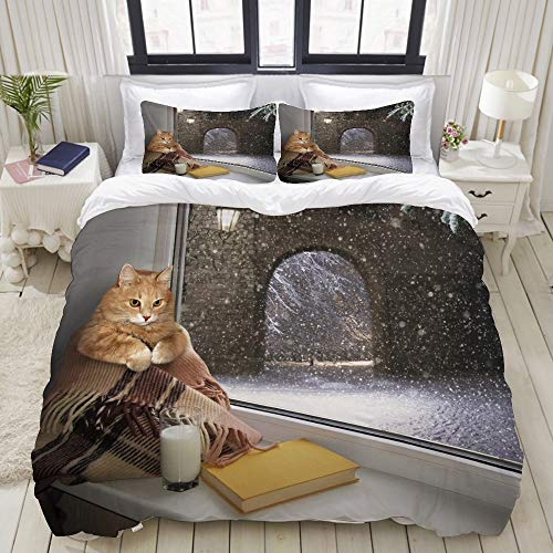 PENGTU Funda Nórdica De Microfibra,Gato se Sienta en el alféizar de la Ventana Exterior,Juego De Ropa De Cama De 3 Piezas (1 Funda De Edredón 140 * 200cm + 2 Fundas De Almohada 50 * 80cm)