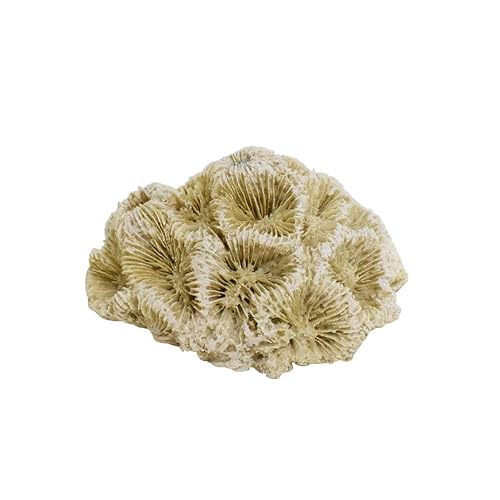 Nobby Aqua Ornaments Coral 6,8 x 6,3 x 4 cm