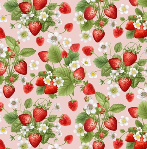Timeless Treasures Berry Sweet Red Strawberries and Blossom Bouquets on Pink Cotton Fabric by The Yard