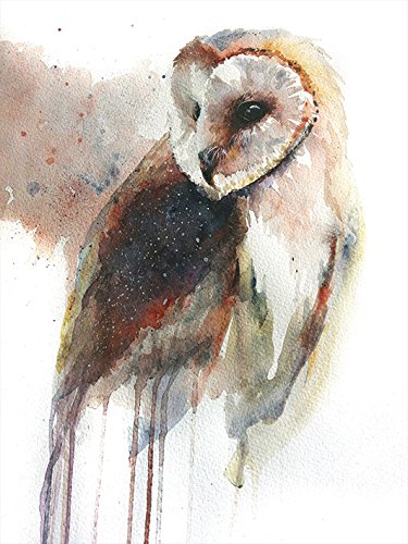 The Art Group "Sarah Stokes Eric Sitting Canvas Print, Cotton, Multi-Colour, 1.80 x 30.00 x 40.00 cm