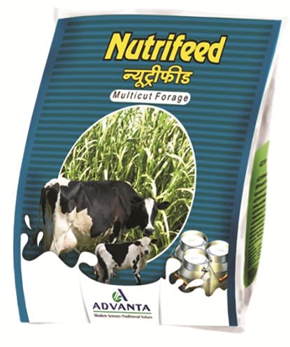 ADVANTA Nutrifeed 1Kg, Multi-cut Perennial Hybrid Green/Hay Fodder Grass Seeds (B094CXHZCK) Amazon Price History, Amazon Price Tracker