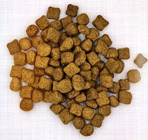 My Pet Club Insekten (1 x 8 kg) getreidefreies Hundefutter sensitiv I 33% Insekten Anteil I hypoallergenes Hundefutter mit Süßkartoffel