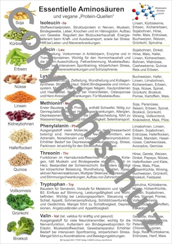 Aminosäuren und vegane Protein-Quellen: Übersichtskarte A5 (Lehrtafeln: Übersichtskarten)