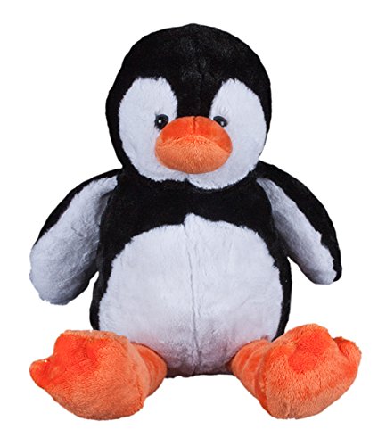 Amazon.com: Beary Fun Friends Recordable 16