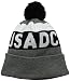 DC Men's Chester Beanie, Heather Grey, One Size