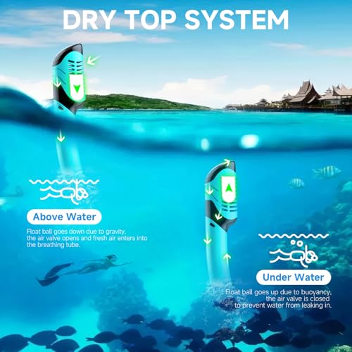 Set de snorkel para adultos, máscara de buceo con tubo seco, visión panorámica de 180° profesional para snorkel miniatura 5