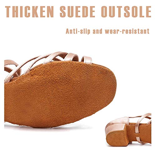 HIPPOSEUS Girls Silk Satin Latin Dance Shoes Low Heel Ballroom Salsa Dance Practice Performance Dancing Shoes,Model 2024