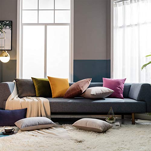 Juspurbet Champagne 28X28 Velvet Throw Pillow Covers Set Of 2, Decorative Solid Soft Pillow Covers For Couch Sofa Bed #TOP4