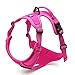 Chai's Choice Best Outdoor Adventure Dog Harness (Medium, Fuchsia)
