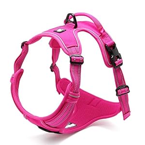 Chai’s Choice – Premium Outdoor Adventure Dog Harness – 3M Reflective Vest with Two Leash Clips, Matching Leash and Collar Available (Fuchsia X-Small)