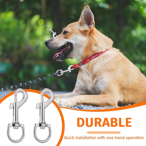 CATOR 2 Stück Karabiner für Hundeleine, Wirbelkarabiner aus Edelstahl mit D-Form und Silberfarbe, Twist Lock für Hunde-Leine, Schlüsselbunde und Haustierzubehör