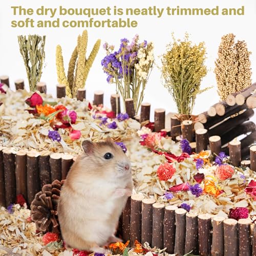 Sukh Natural Hamster Bedding Sprays - Foraging Habitat Decor Cage Accessories, Hideout Enrichment for Dwarf & Syrian Hamsters, Gerbils, Mice and Other Small Animals - Image 5