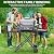 BBQMall Portable Outdoor Grill Table Cart for Ninja Woodfire Outdoor Grill(OG700 OG800 OG900 Series), 51in Large Space, Folding Camping Tailgating Table for Blackstone Griddle/Onni Pizza Oven,2 Wheels