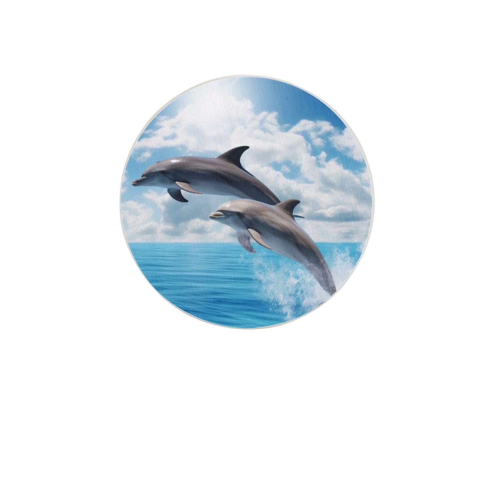 Two Dolphins Absorbent Drink Coasters Diatomaceous Round Coaster 4 Inch Reusable Cup Coasters Set 4pc