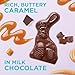 Russell Stover Caramel and Milk Chocolate Easter Bunny, 7 oz