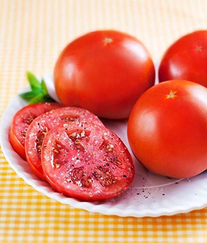 Amazon.com : Florida 91 F1 Hybrid Tomato Seeds - Good yields of 9