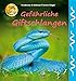Produktbild Gefährliche Giftschlangen