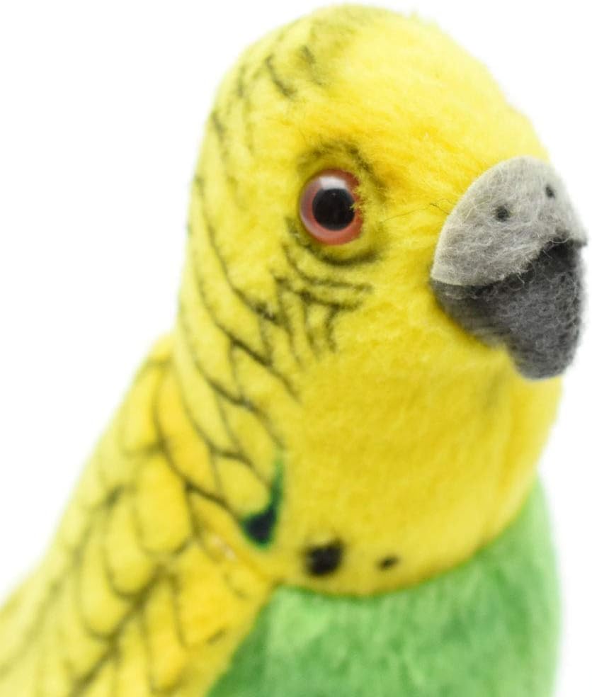 Close-up of Hansa Plush Budgerigar's face