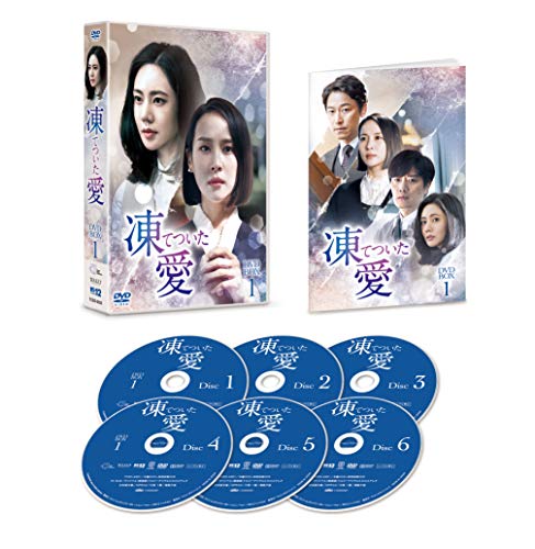 凍てついた愛 DVD-BOX1