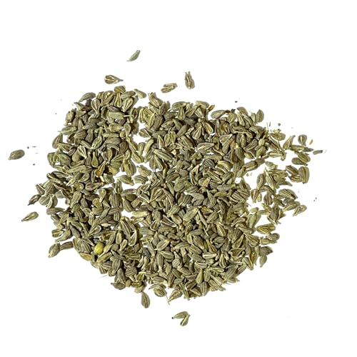 Seed Needs Anise Seeds for Planting Pimpinella anisum - Non-GMO Heirloom & Untreated Herb Seed to Grow a Medicinal/Culinary Home Grown Garden Indoors or Outdoors (1 Pack) - Image 5