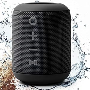 DOCKIN D Mini Bluetooth luidspreker, 12W draagbaar & draadloos, 2 Full Range drivers, 2 passieve radiatoren, 360-graden surround sound, IPX7 waterdicht, oplaadbaar audio-apparaat, tot 10 uur afspelen