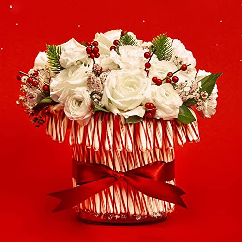 Brach's Bobs Red & White Mint Canes, Christmas Candy, Stocking Stuffers For Kids, Holiday Classic, 5.3 Oz, 12 Count (Pack Of 1) #TOP3