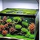 10 Stück Schwimmende Pflanzringe Fischfutterring 5 Größen Runde Floating Aquarium Plant Rings Schwarz Floating Plant Ring Schwimmender Futterring um Nahrung für Schildkröte Goldfisch
