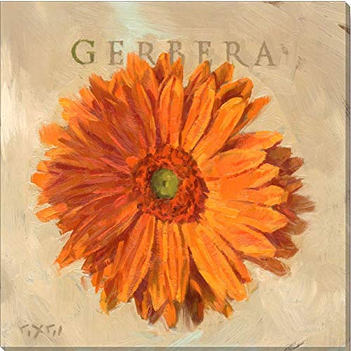 Sullivans Darren Gygi Gerbera Flower Canvas Wall Art, Museum Quality Giclee Print, Gallery Wrapped, Handcrafted in The USA (9x9, Orange)