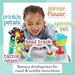 Kolcraft Tiny Steps 2-in-1 Foldable Infant and Baby Push Walker with Wheels, Seated or Walk-Behind Design, Entertaining Developmental Activities for Boys and Girls, Wide and Sturdy Frame - Bubbles - Image 2