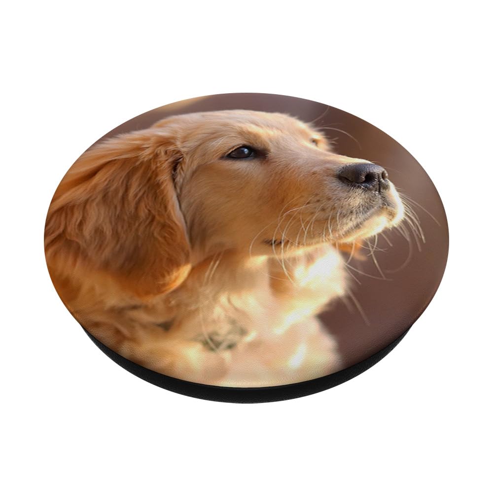 PopSocket Con Piatto Intercambiabile – Flat Coated Retriever Mom – Regalo Per Proprietari Di Cani - 2