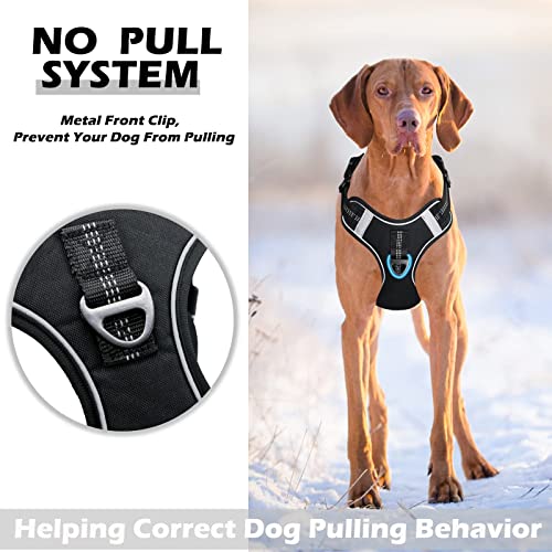 LOCYFENS Dog Harness, No Pull Dog Harness with Soft Handle and 2 Leash Clips, Service Dog Harness with 4 Different… - Image 5