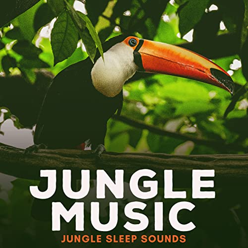Amazon MusicでJungle Sleep SoundsのJungle Musicを再生する