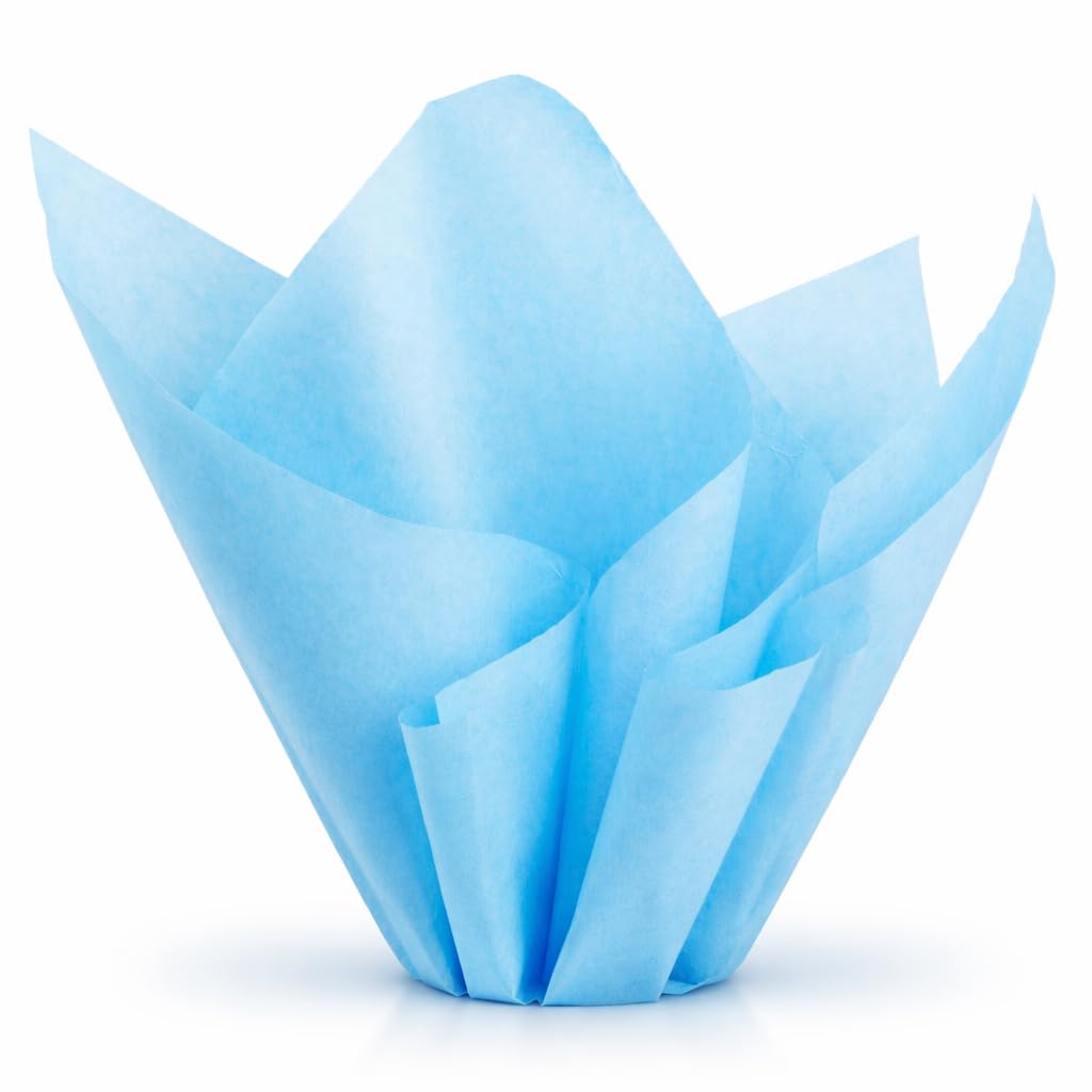 PMLAND 100 Sheets Aqua Blue Tissue Paper Bulk, 20x15 Inches Double Sided Color Wrapping Tissue Paper for Gift Wrap Bags Crafts Wedding Party and Holiday Decorations