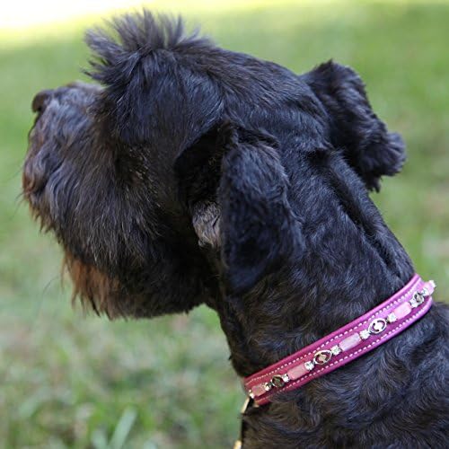 X-Small Beaded Rhinestone Soft Napa Leather Padded Utopia Dog Collar, Fits Neck Size 10" - 12"