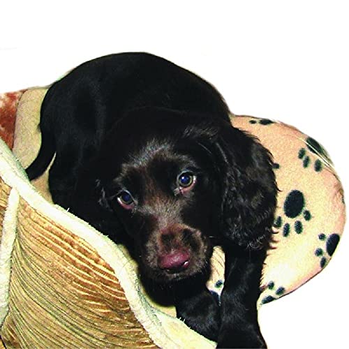 Snugglesafe Wärmekissen für Hunde, Katzen, kleine Haustiere, mikrowellengeeignet