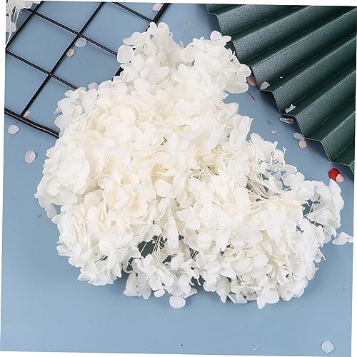 1pack pétalos secos de hortensia blanca para manualidades miniatura 2