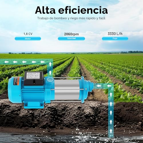 Bomba centrífuga autocebante de 1,8 CV en acero inoxidable para riego de estanques 3