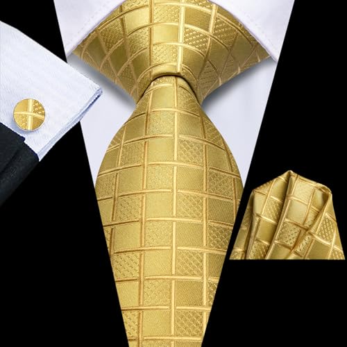 Image of Hi-Tie Mens Paisley Floral Striped Ties Set Silk Necktie and Lapel Pin for Men Pocket Square Cufflinks Set Business Wedding