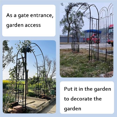 Pergola pour support de plantes grimpantes avec structure métallique - 4
