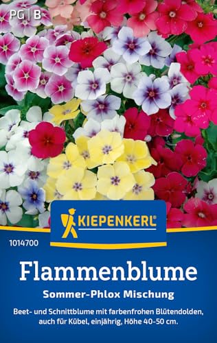 Kiepenkerl Flammenblumensamen Sommer-Phlox Mischung 1014700 - Einjährige Blume mit einer Wuchshöhe von 40 bis 50 cm und einem Inhalt für 80 Pflanzen - Blumensamen, Saatgut