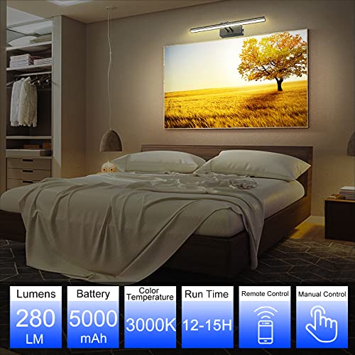 Funchday Picture Light, Remote Control Art Light With Dimmable, Timer Preset Picture Lights For Paintings,16" Full Metal Display Light For Wall,Artwork,Portrait,Dartboard (Black) #TOP4