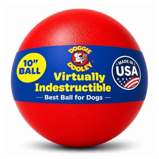 Virtually Indestructible Best Ball for Dogs, 10-inch