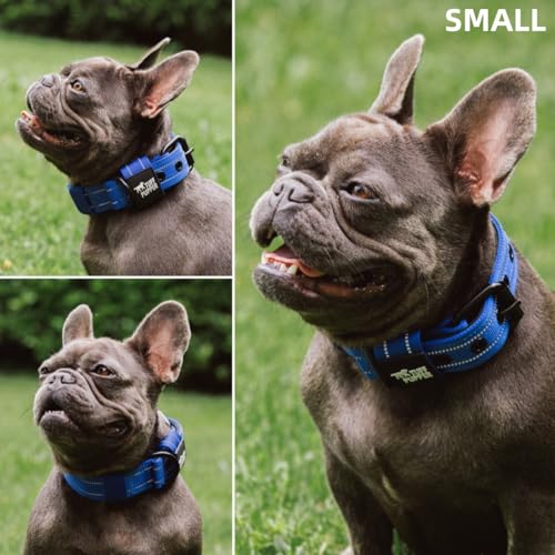 Image of Tuff Pupper Heavy Duty Tactical Dog Collar | 1.25 inch Wide Ballistic Nylon | Reflective Stitching | Integrated ID Tag Holder | Stainless Steel Buckle | Padded Lining | Small & Medium Dogs (Blue, Small)