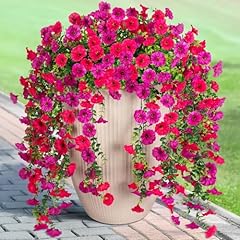 Hot Pink Light Purple