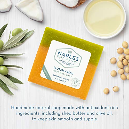 Naples Soap Company Natural Shea Butter And Olive Oil Soap Bar – Antioxidant-Rich Soap Bar Naturally Moisturizes For Smooth, Supple Skin – No Harmful Ingredients – Florida Fresh, 4.5 Oz #TOP1