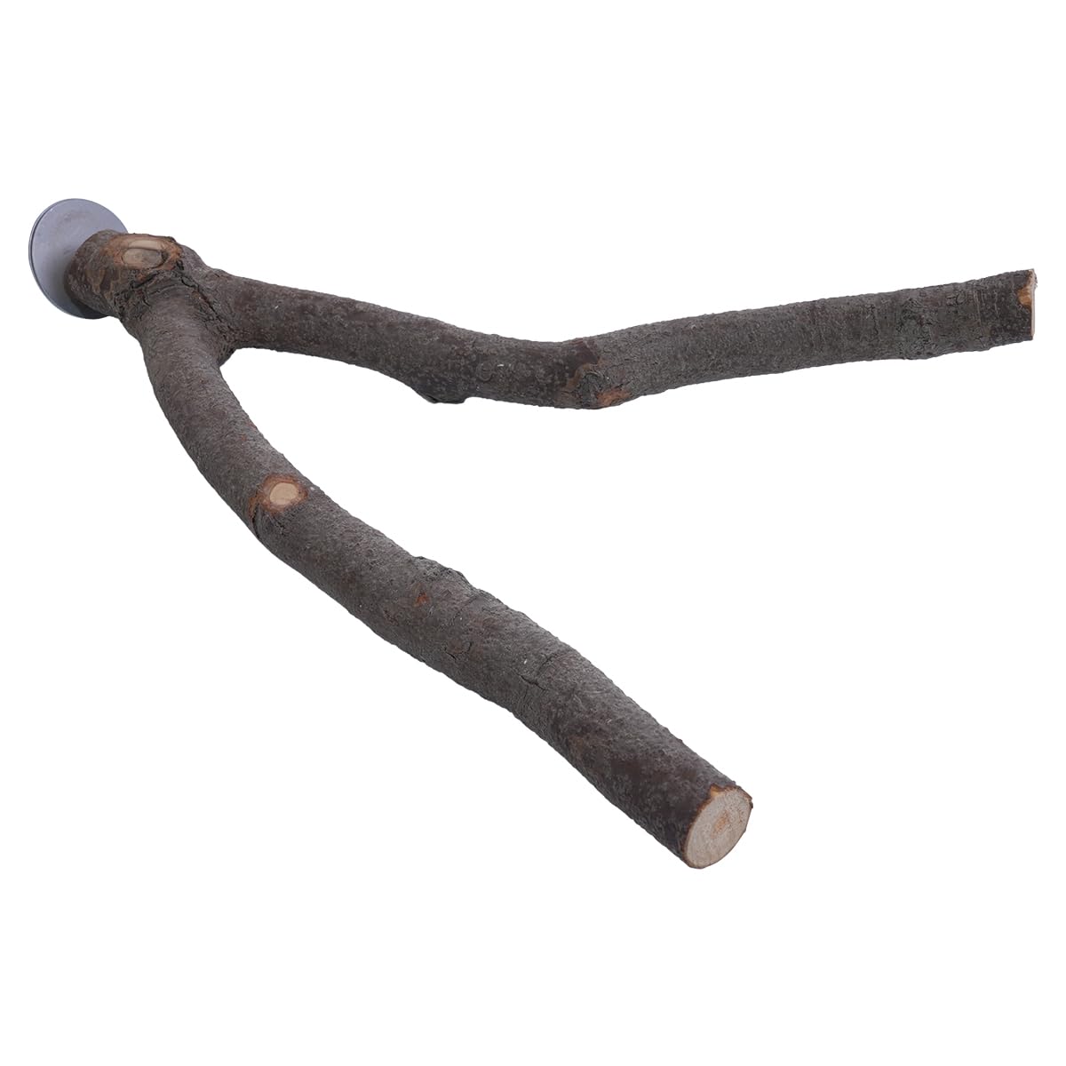 ZONADAH Parrot Perch Natural Y Shape Perch 25cm Bird Swing Birds Stand Grinding Paw Climbing Wood Cage Accessories for Parakeet Cockatiels Budgies Conure Lovebirds Thickness 2-3.5cm - Image 2