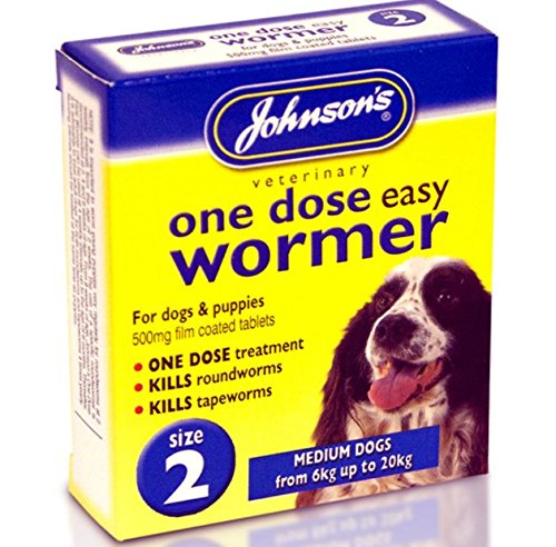 Johnsons Easy Worm 1 Dose Size 2 500mgx2