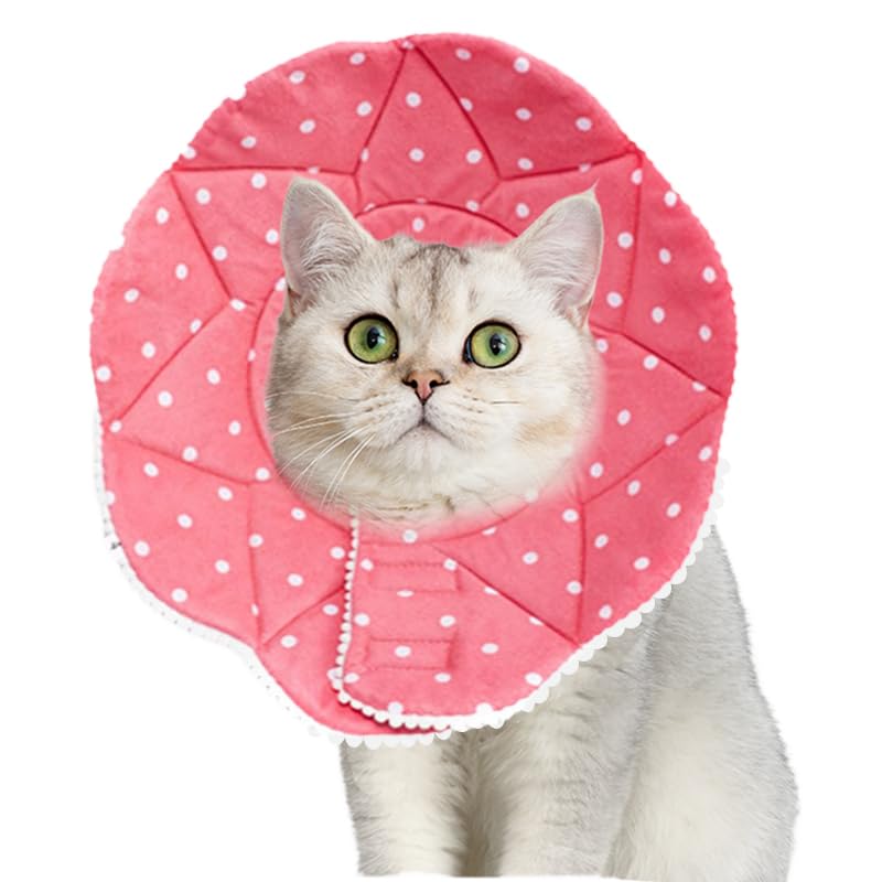 Amazon | エリザベスカラー 猫 犬 ソフト ［愛玩動物飼養管理士
