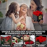 Frasheng B0CNP36984 lato 4