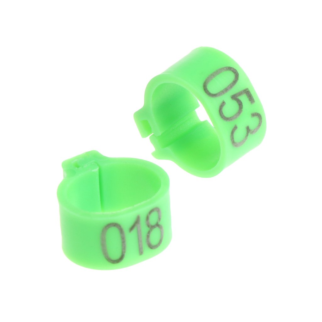 DSBAOMA 100-Pack 10mm Bird Leg Bands for Foot Bands Clip Rings for Chicken for Quail Poultry Multi Colo